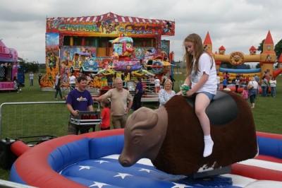 Rodeo Bull for Hire