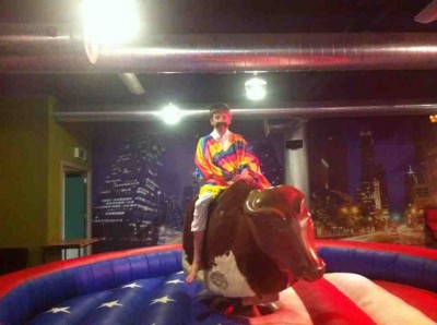 Rodeo Bull for Hire