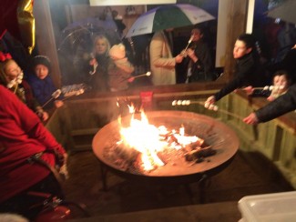 fire pit for toasting marshmallows