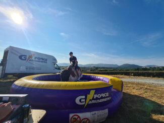 riding the rodeo bull