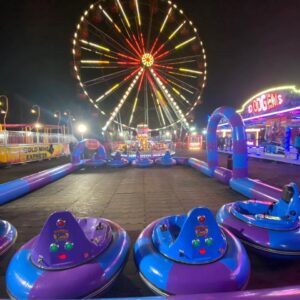 ferris wheel and bumper cars