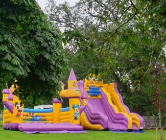 minion bouncy castle and disney play zone